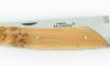 Compagnon Carbon JUNIPER TREE 3